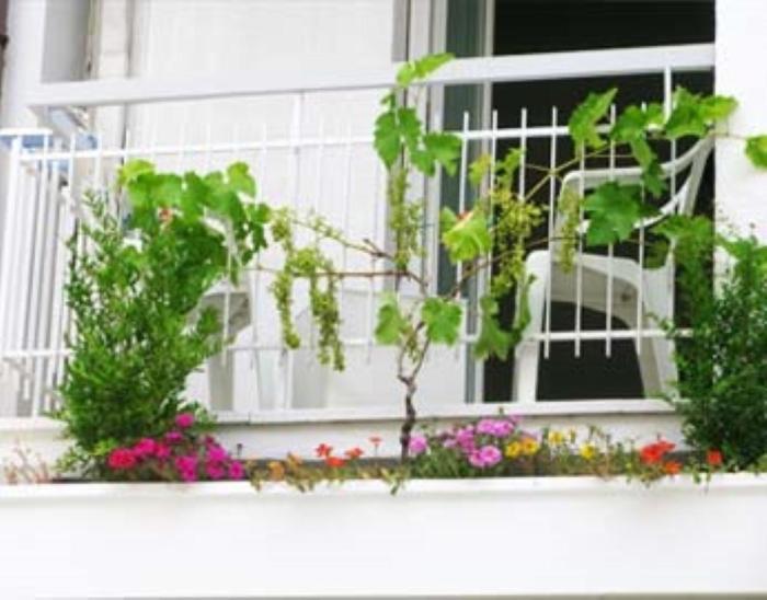 B&B Residence Sorriso Cattolica Exterior foto